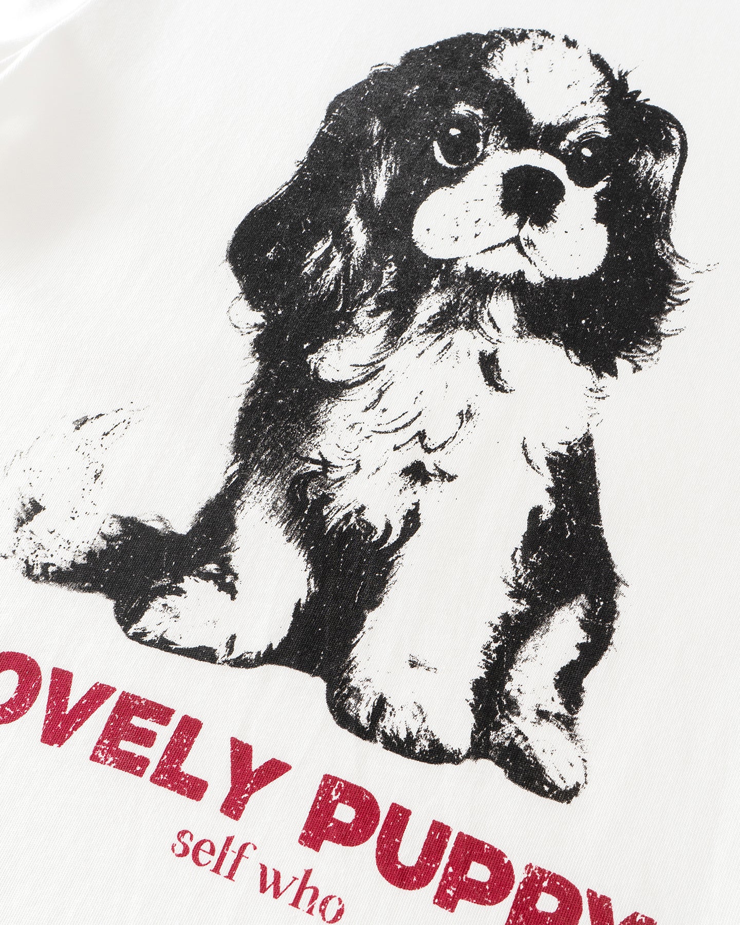White Springer Spaniel Puppy Short-Sleeve T-Shirt