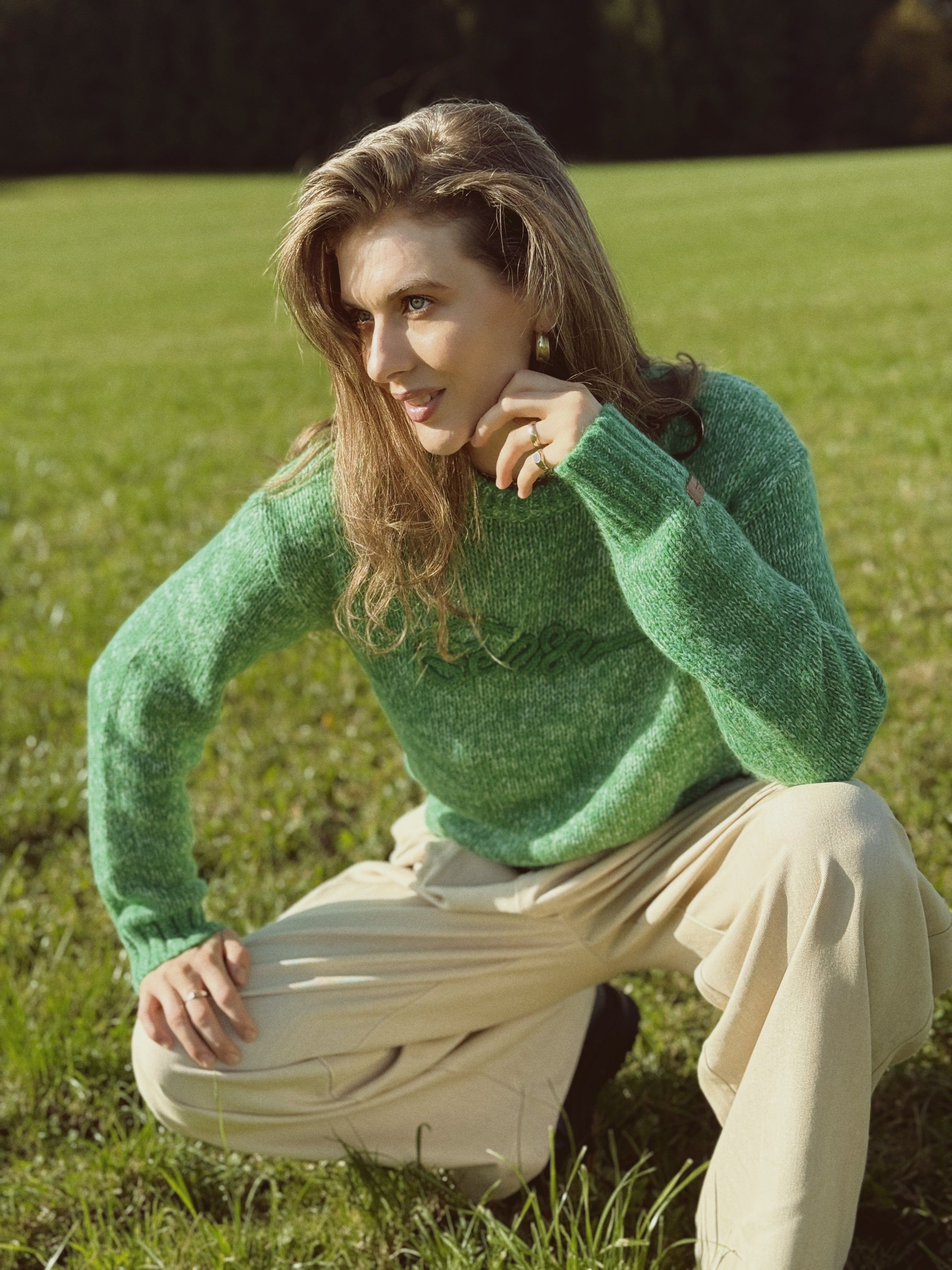 Wool Solid Color Crew Neck Sweater